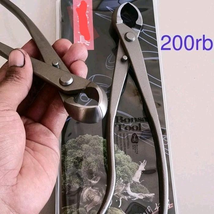 Termurah Catut Bonsai Cembung 21 Cm Catok Cembung Tanaman Bonsai