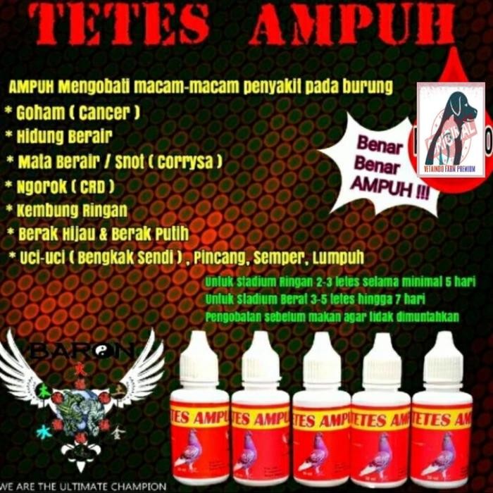 TETES AMPUH BARON OBAT UNTUK BURUNG MERPATI GOHAM KEMBUNG LESUH LEMES