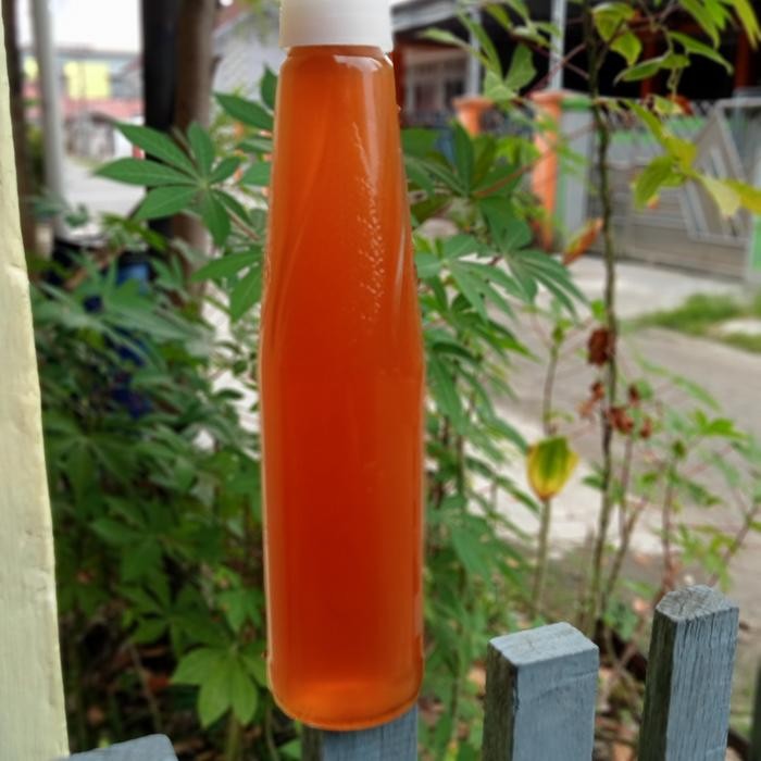 

Madu hutan kalimantan botol abc