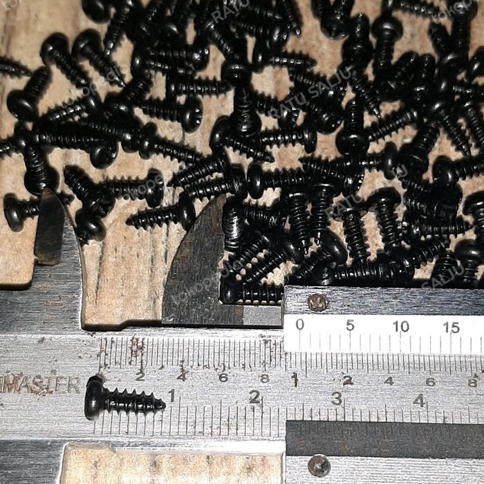 

SEKRUP BAUT MINI UNTUK ELEKTRONIK,MAINAN,AUDIO,MULTITESTER DLL (3X8MM)