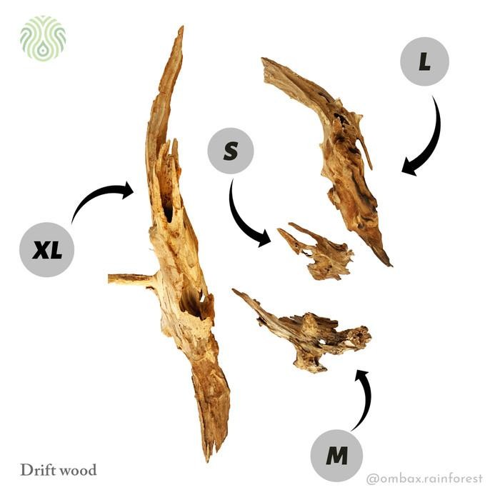 (Allthebest) Drift woon / kayu rentek - kayu jati / Aquascape, Vivarium, & Paludarium