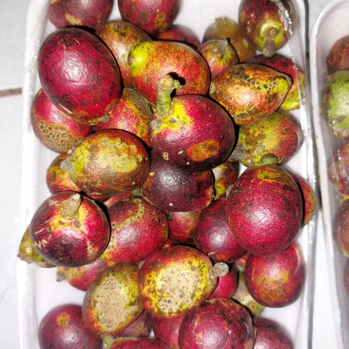

ORIGINAL Buah Matoa Merah READY STOCK