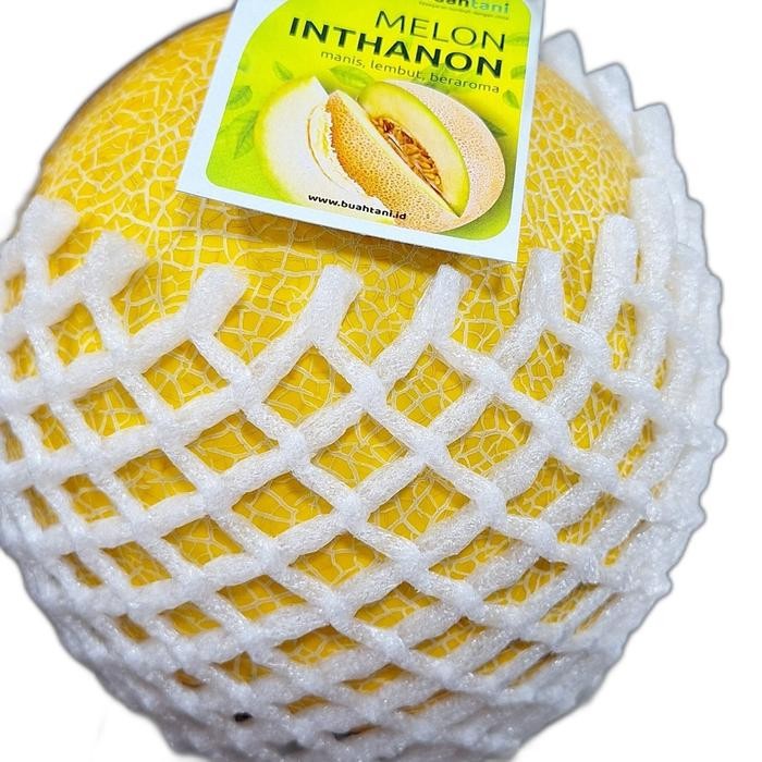 

ORIGINAL melon inthanon manis READY STOCK