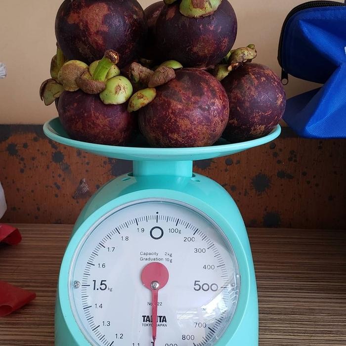 

TERMURAH Manggis Padang per 1Kg READY STOCK