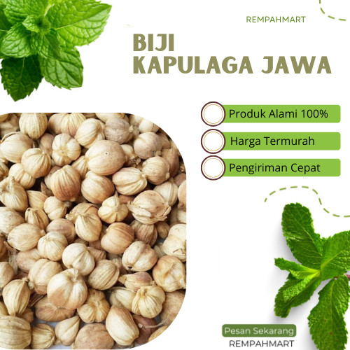 

50g Biji Kapulaga Jawa Putih Alami True Cardamon Premium / Bumbu Pelengkap Masakan Biji Kapulaga Putih Lokal Rempahmart