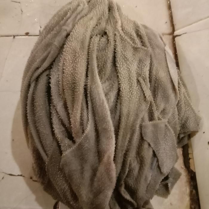 

Special Order Best Seller