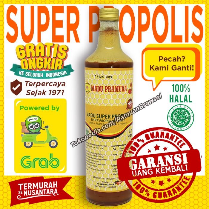 

Neww Madu Pramuka Super Propolis 650 ml Original Terlaris