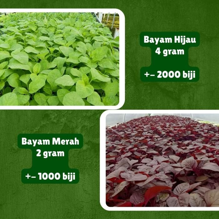 (Allthebest) Paket Benih Bibit Sayuran Daun Lengkap 10 Jenis Benih Sayuran