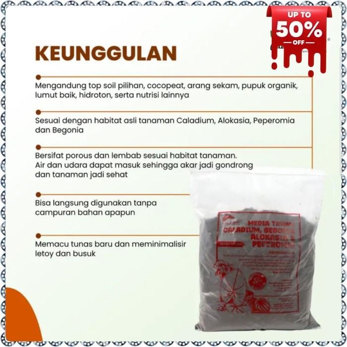 media tanam alocasia siap pakai - media tanam alocasia 1 kg