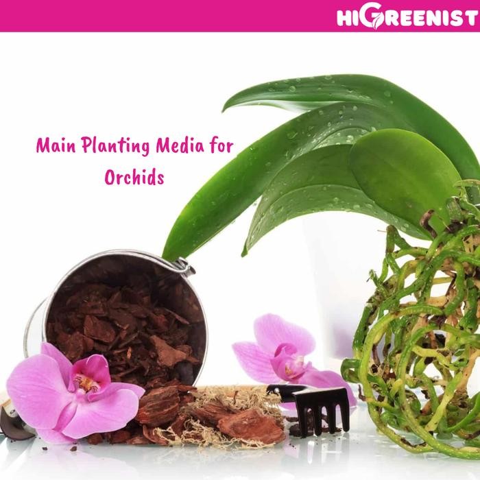 Pine Bark Premium (5L) - Media Tanam Pine Bark - Media Tanam Anggrek dan Aroid - Termasuk