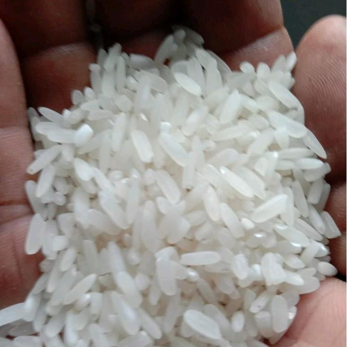 BENIH PADI NGAOS MAWAR 5KG TANAMAN