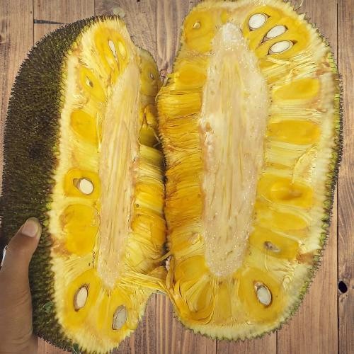 

ASLI Nangka Madu manis - Nangka Jawa manis utuh READY STOCK