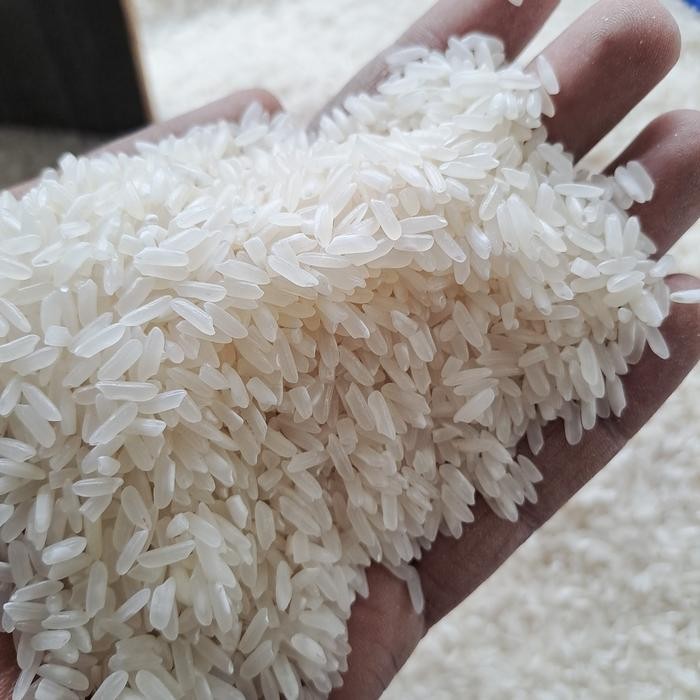 

Sale terbaru beras rojolele aa3 10 kg Ready