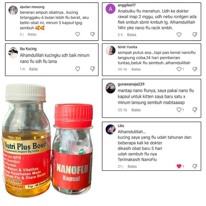 Paket Vitamin Dan Nanoflu untuk kucing flu atau diare parah dan tahunan