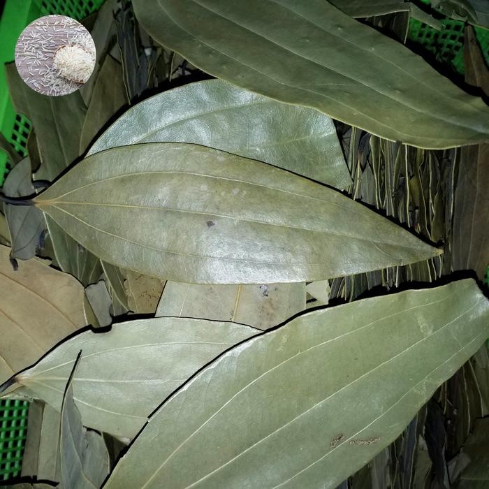 

Daun salam kering 500g Bay leaves