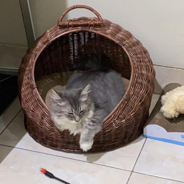 Rumah kucing rotan/rumah anjing kelinci/rumah pets rotan