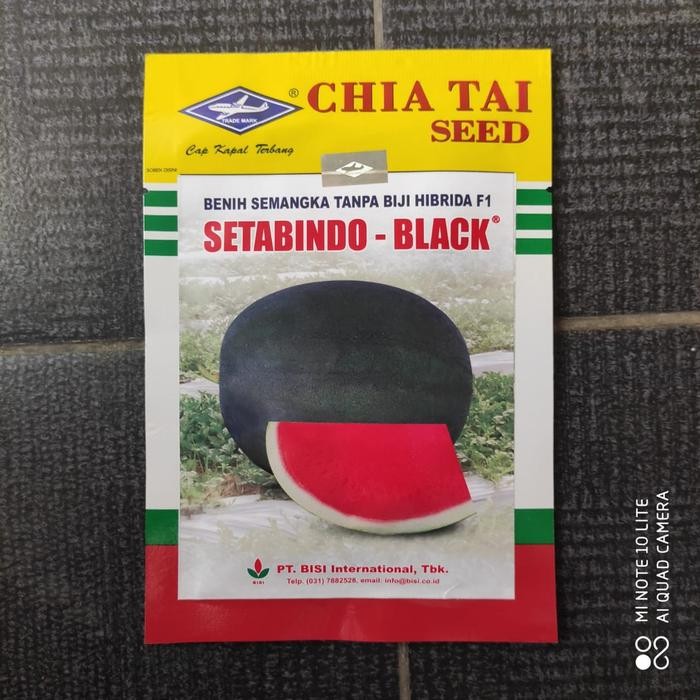 Benih semangka Hibrida F1 SETABINDO BLACK kemasan berat isi 20gram