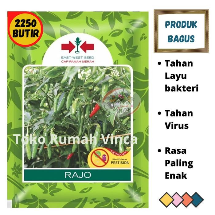 Benih Bibit Biji Tanaman Cabe Rawit Hijau RAJO 2250 Butir dari Cap Panah Merah Cabe Rawit Setan