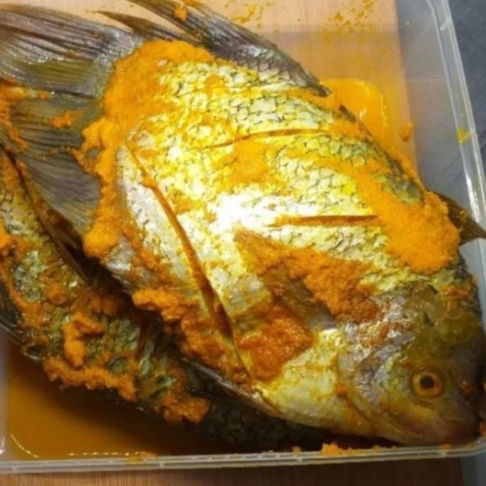 

Baru Ikan Gurame Bumbu Kuning 500g