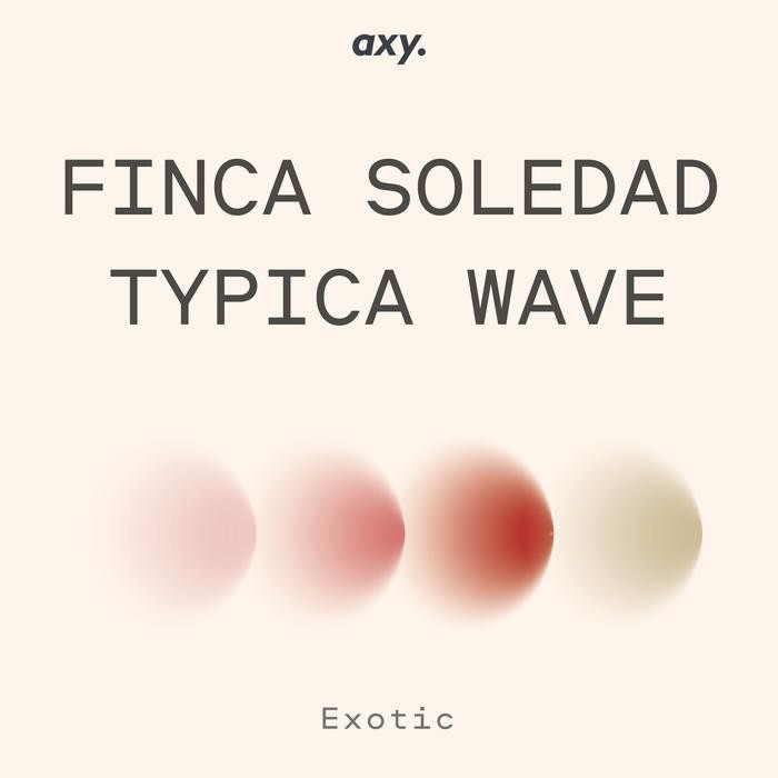 

ECUADOR FINCA SOLEDAD TYPICA NATURAL - BIJI KOPI ARABIKA