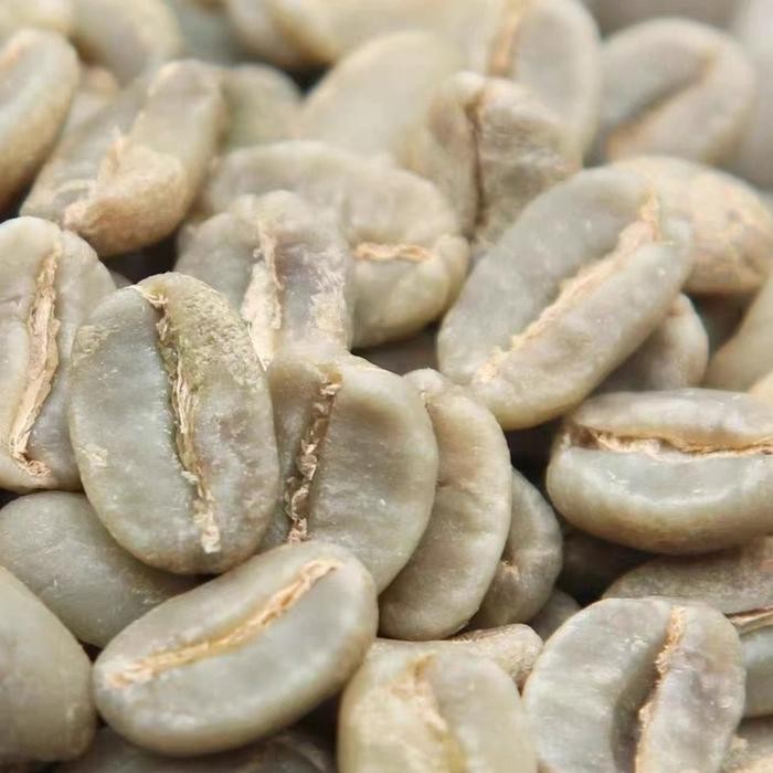 

COLOMBIA EL DIVISO GEISHA THERMAL SHOCK 24 GREEN BEANS