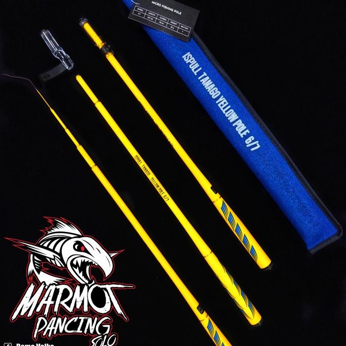 Tegek Ispull Tanago Yellow Pole Ityp