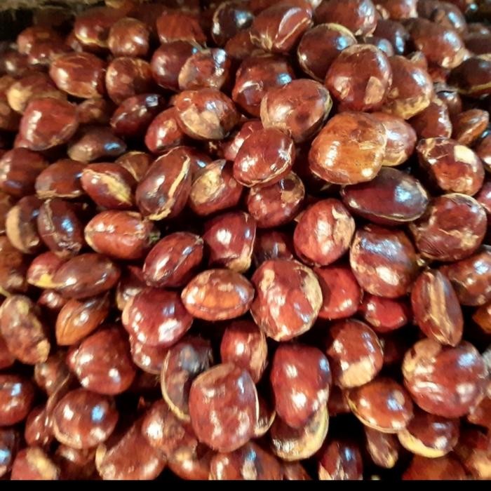 

Jengkol Tua Super 1Kg Terbaru