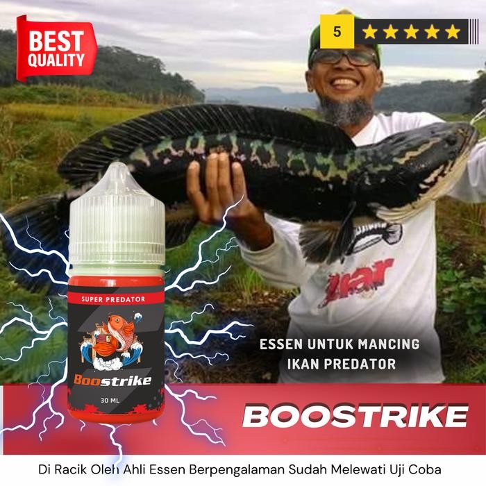 Essen Ikan Gabus Liar Dan Toman Paling Gacor Boostrike Super Predator umpan lele Mancing (TERBAIK)