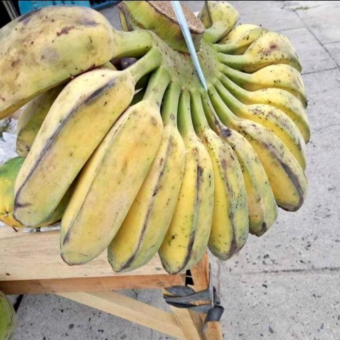 

NATURE- Buah Pisang Kepok Kuning Sisir Makanan Manis
