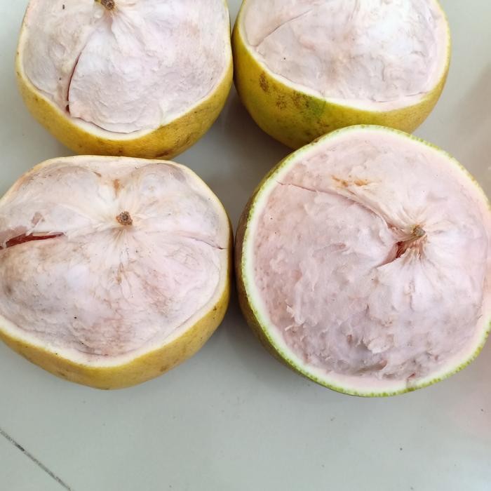 

NATURE- Jeruk Bali Segar