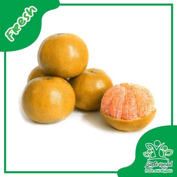 

NATURE- Jeruk Medan (Perkg) - Sayur Kendal