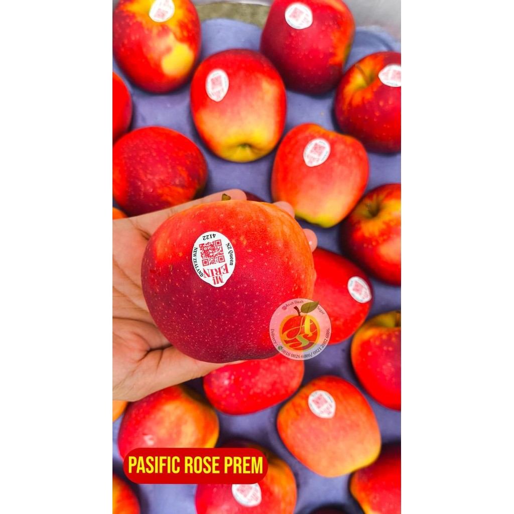 

NATURE- Buah Apel Pacific Rose Queen Nz New Zealand Usa Premium Jumbo Fresh