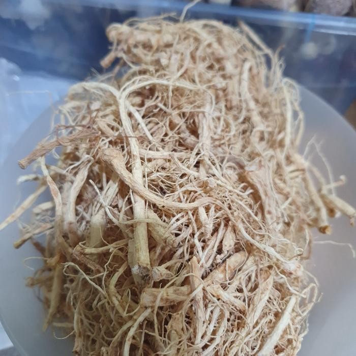 

Siap Kirim Akar Ginseng (Bai Shen Ciu) 500gr - Herbal Alami