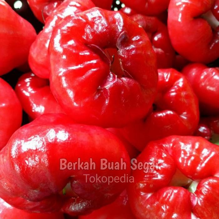 

LUXEHEALTH- Jambu Air, Jambu Rujak 1Kg