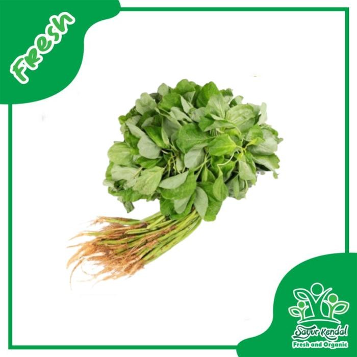 

LUXEHEALTH- Bayam Hijau - Sayur Kendal