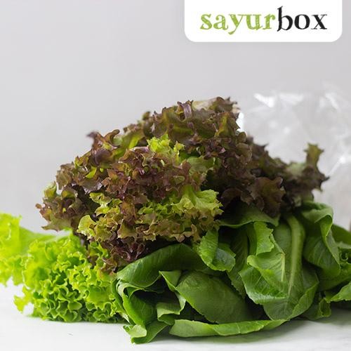 

LUXEHEALTH- Trio Lettuce 250 Gram Sayurbox