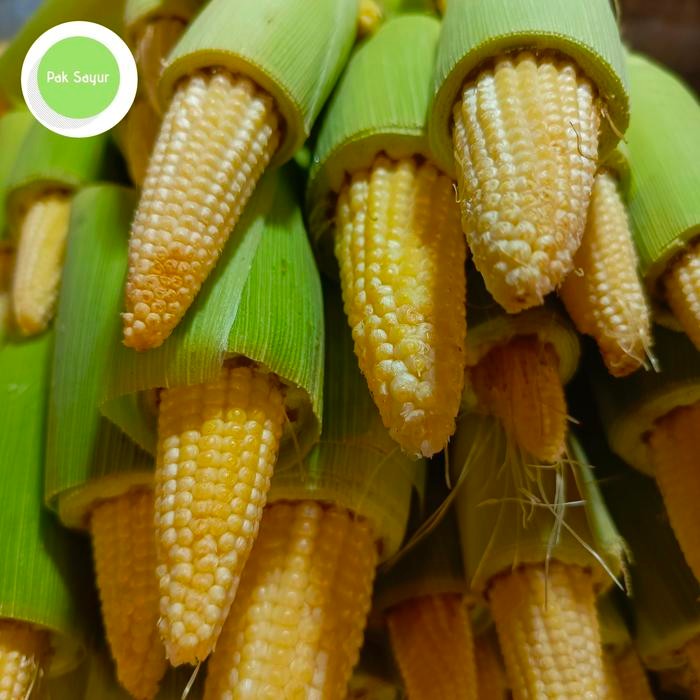 

LUXEHEALTH- Putren / Jagung Acar 1 Kg