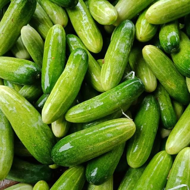 

LUXEHEALTH- Timun 1 Kg