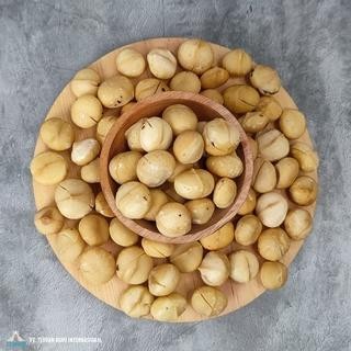 

Kacang Macadamia Panggang / Macadamia Nut - ROASTED