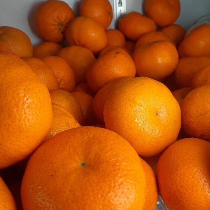 

Jeruk Mandarin Murcot fresh
