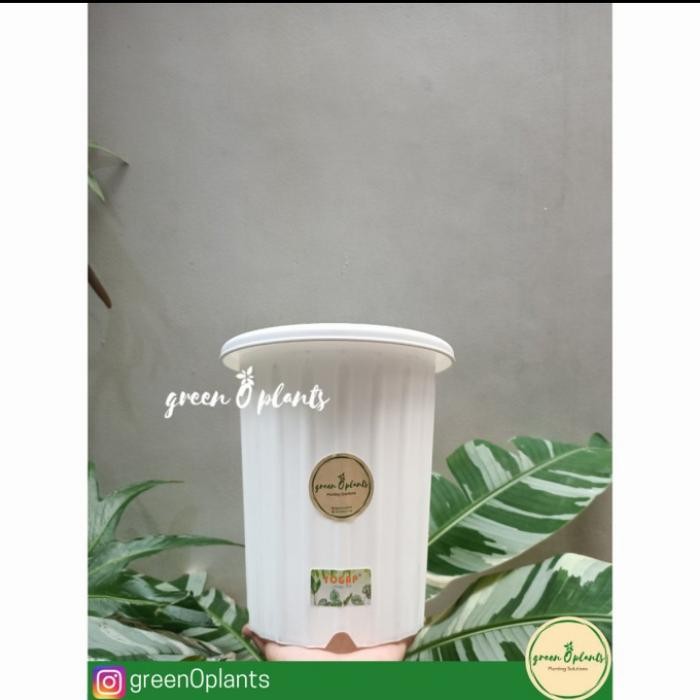 Grosir Pot Yogap YPT 18 Putih Lusinan