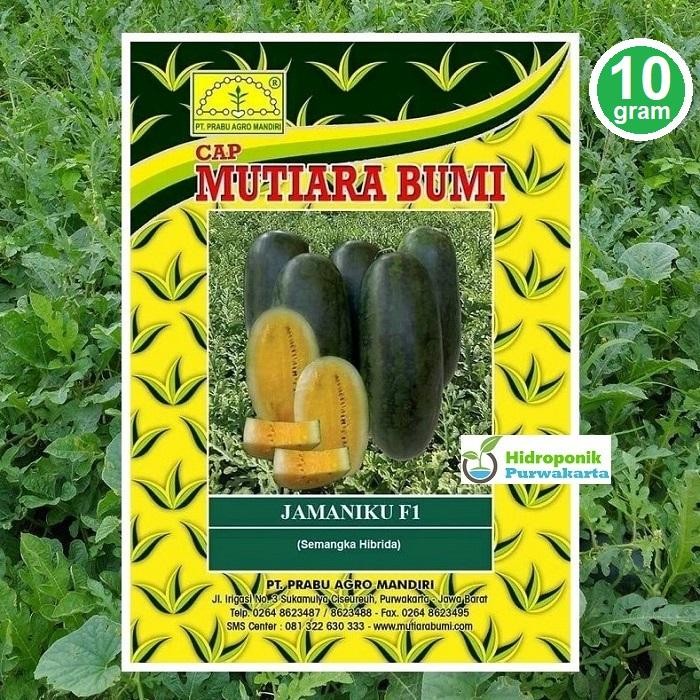 Benih Semangka Inul JAMANIKU F1 10 Gram Daging Kuning Cap Mutiara Bumi