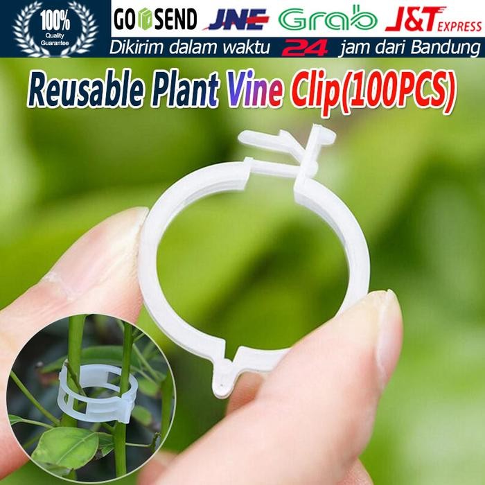 

Pilihan- Isi 100Pcs Klip Plastik Holder Tanaman Tomat Merambat Klip Pengikat