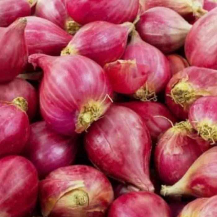 

Pilihan- Bawang Merah Brebes Super Ukuran Besar 250Gram