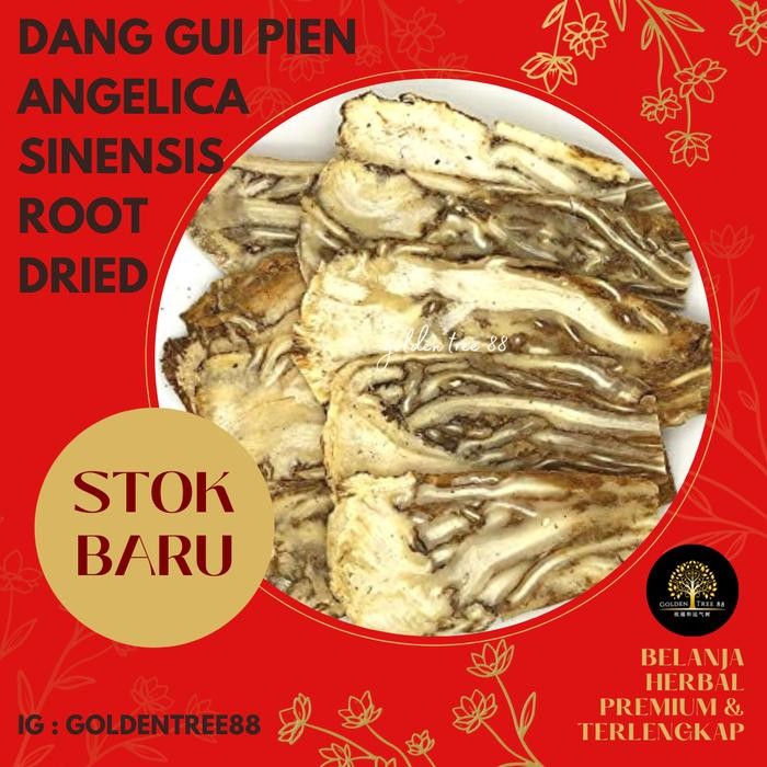 

Pilihan- 37,5Gram Premium Dang Gui Iris Utuh Angelica Sinesis