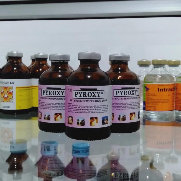 Pyroxy obat infeksi pernafasan, pencernaan, radang mamalia & unggas.