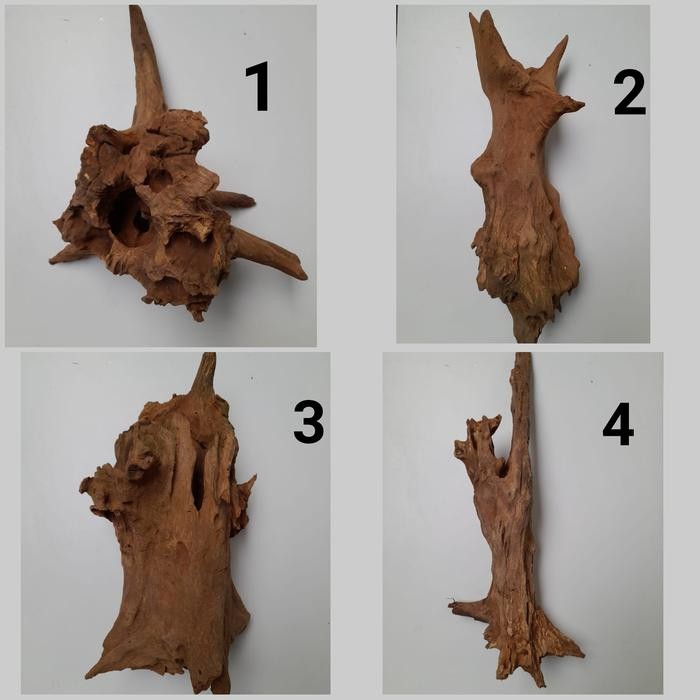 Kayu Fosil Untuk Aquascape Aquarium