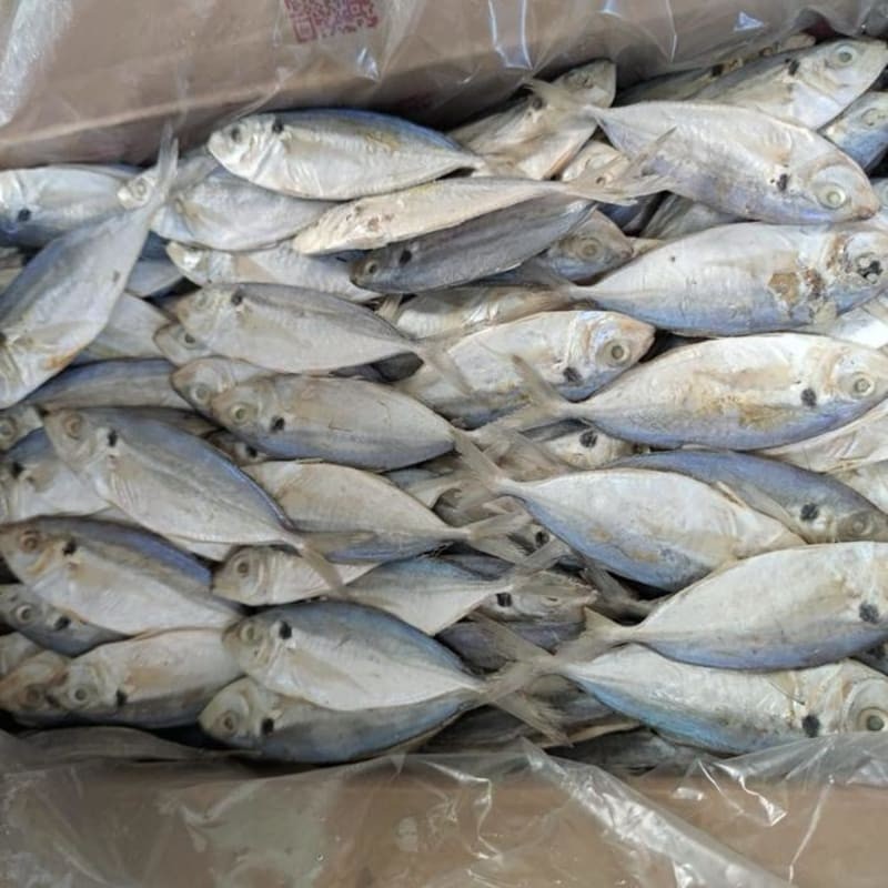 

Ikan Asin Selar Jumbo Kering 1000gr I Ikan Seler Asin