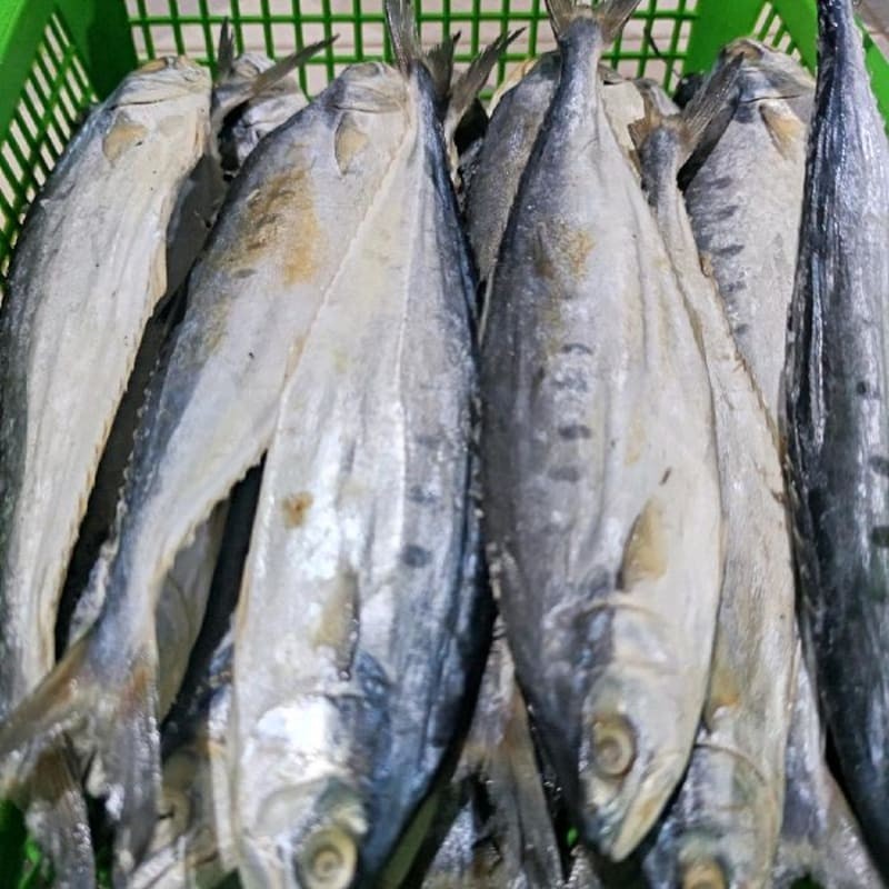 

IKAN ASIN WAIS KEMASAN 1000GR