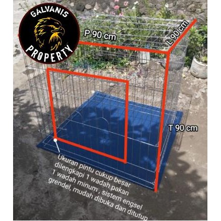Sangkar kandang besi galvanis kotak kurung kurungan ayam laga aduan